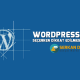 Wordpress Tema Seçimi