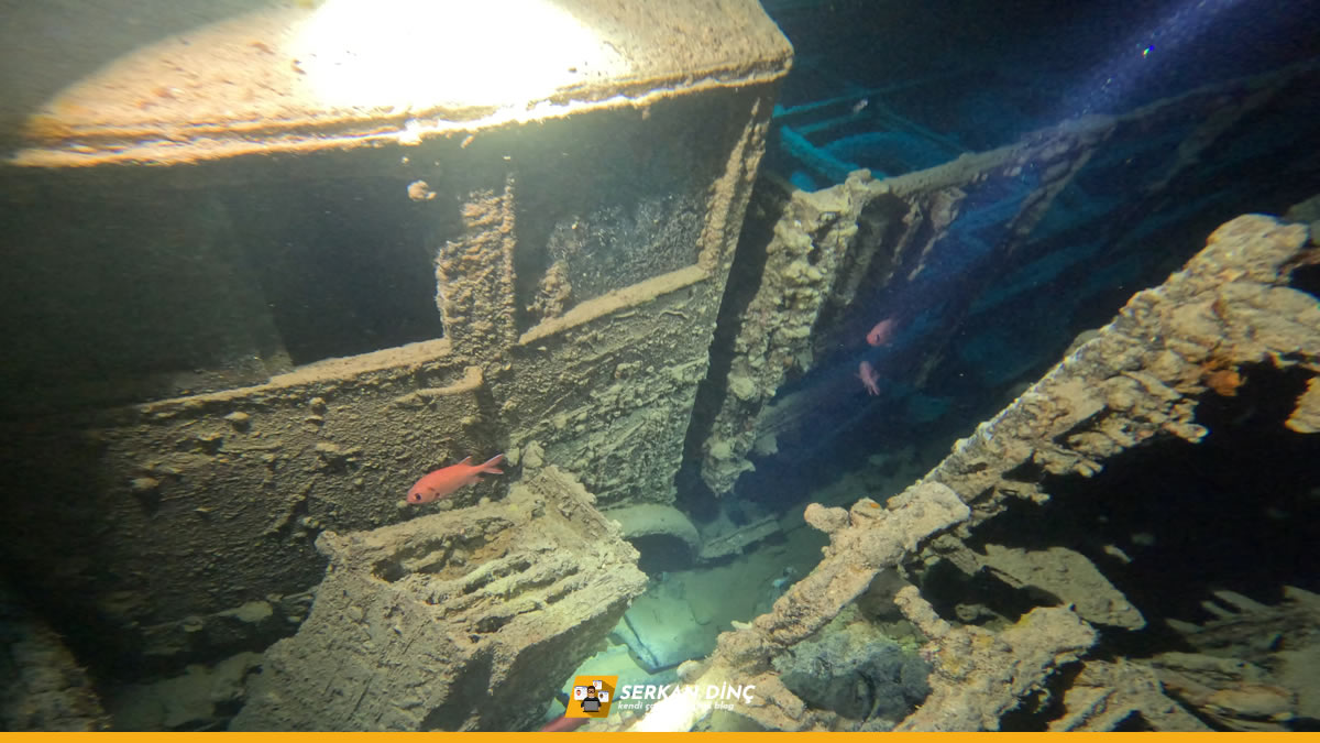 SS Thistlegorm Batığı Kargosundaki Kamyonet